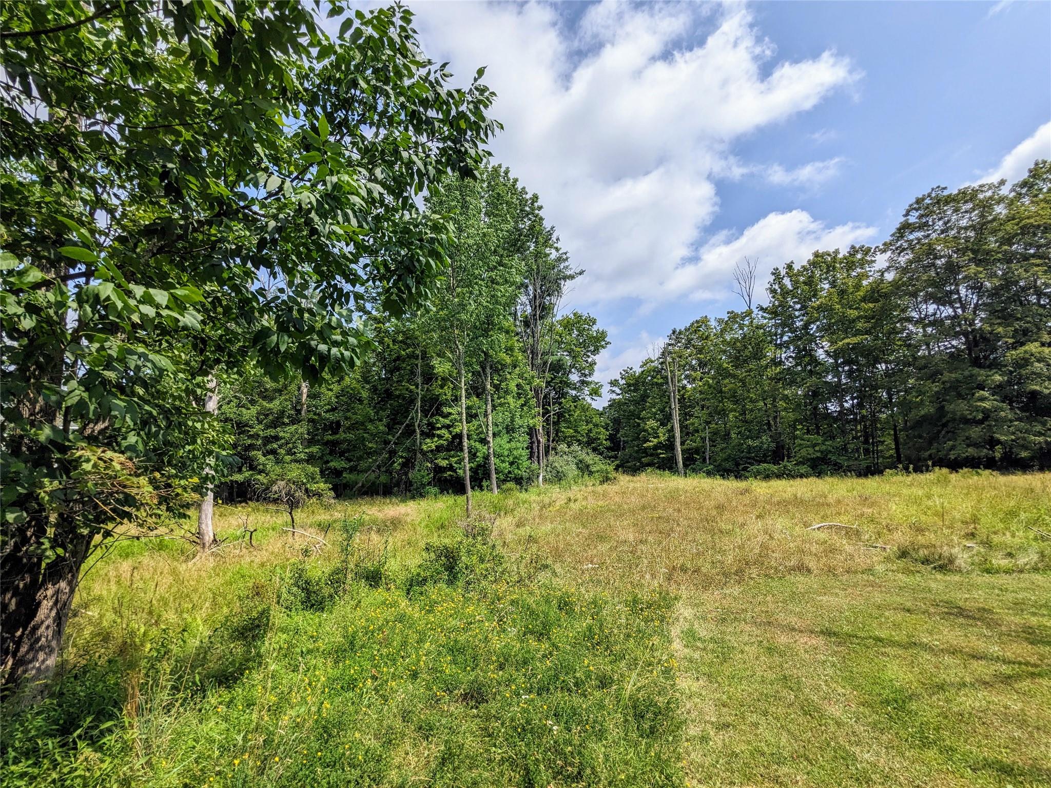 State Route 55, Kauneonga Lake, NY 12720