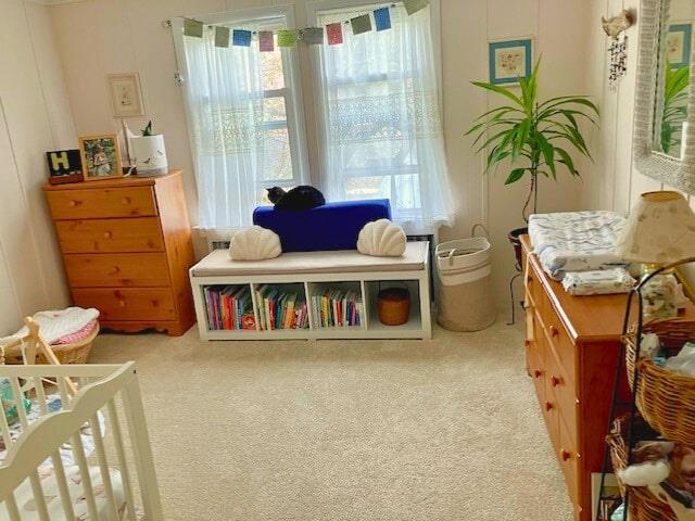 37 Sackett Lake Road, Monticello, NY 12701