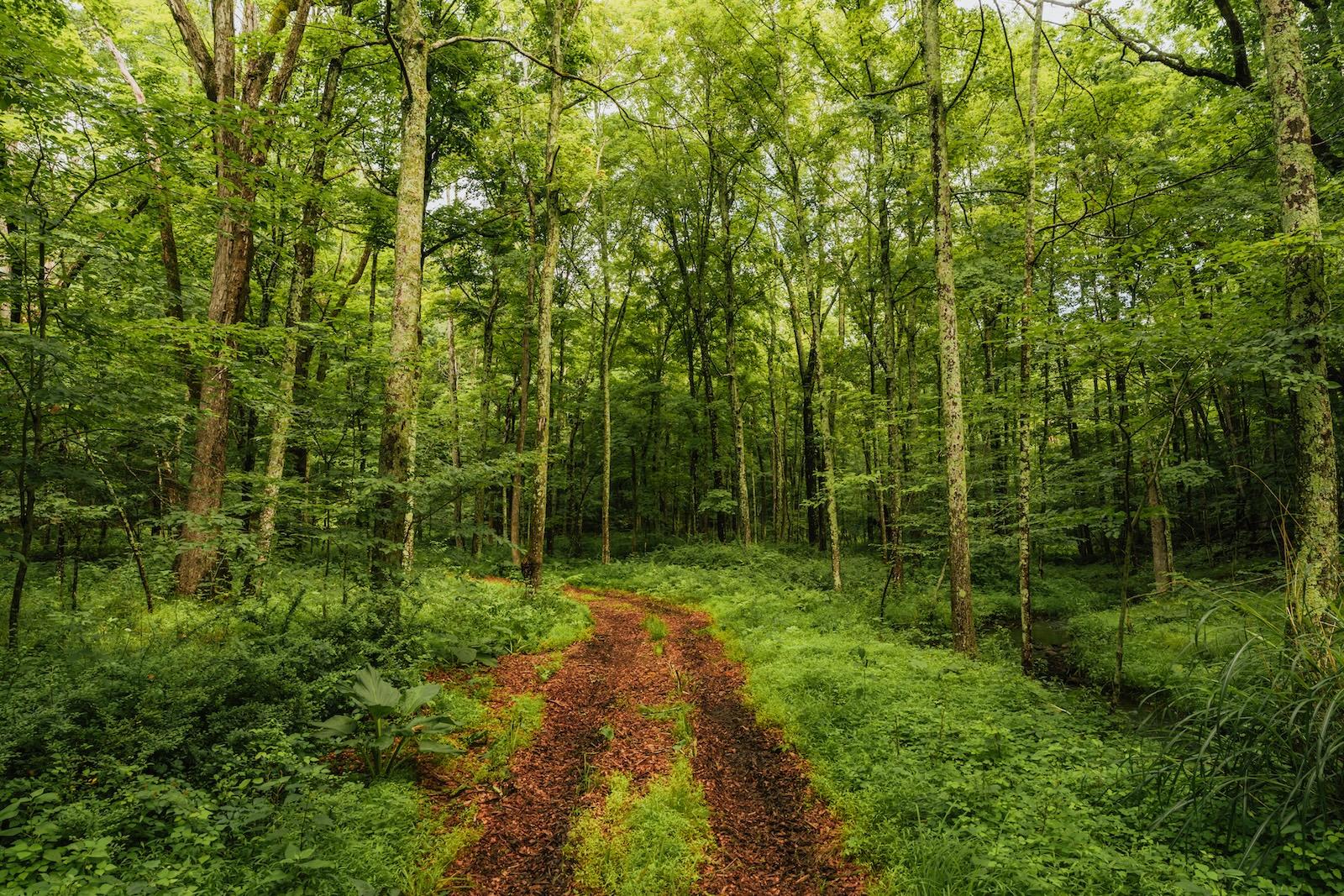 358 Shelley Hill Road, Stanfordville, NY 12581