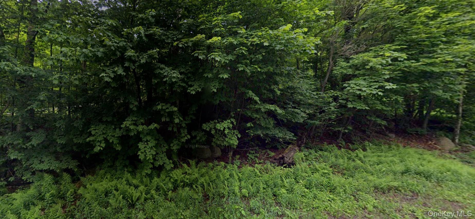 375A Davos Road, Fallsburg, NY 12789