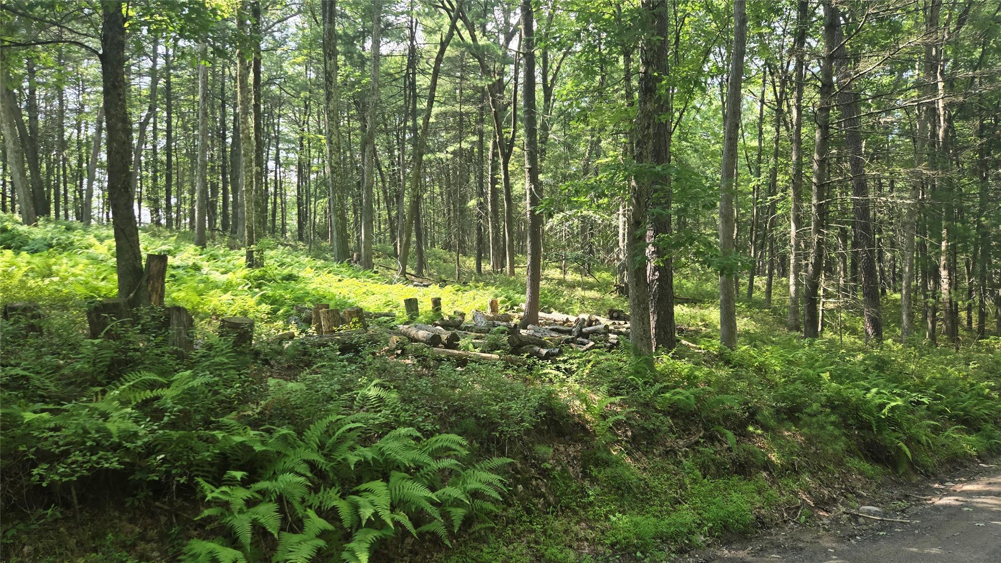 46 ozierany, Glen Spey, NY 12737