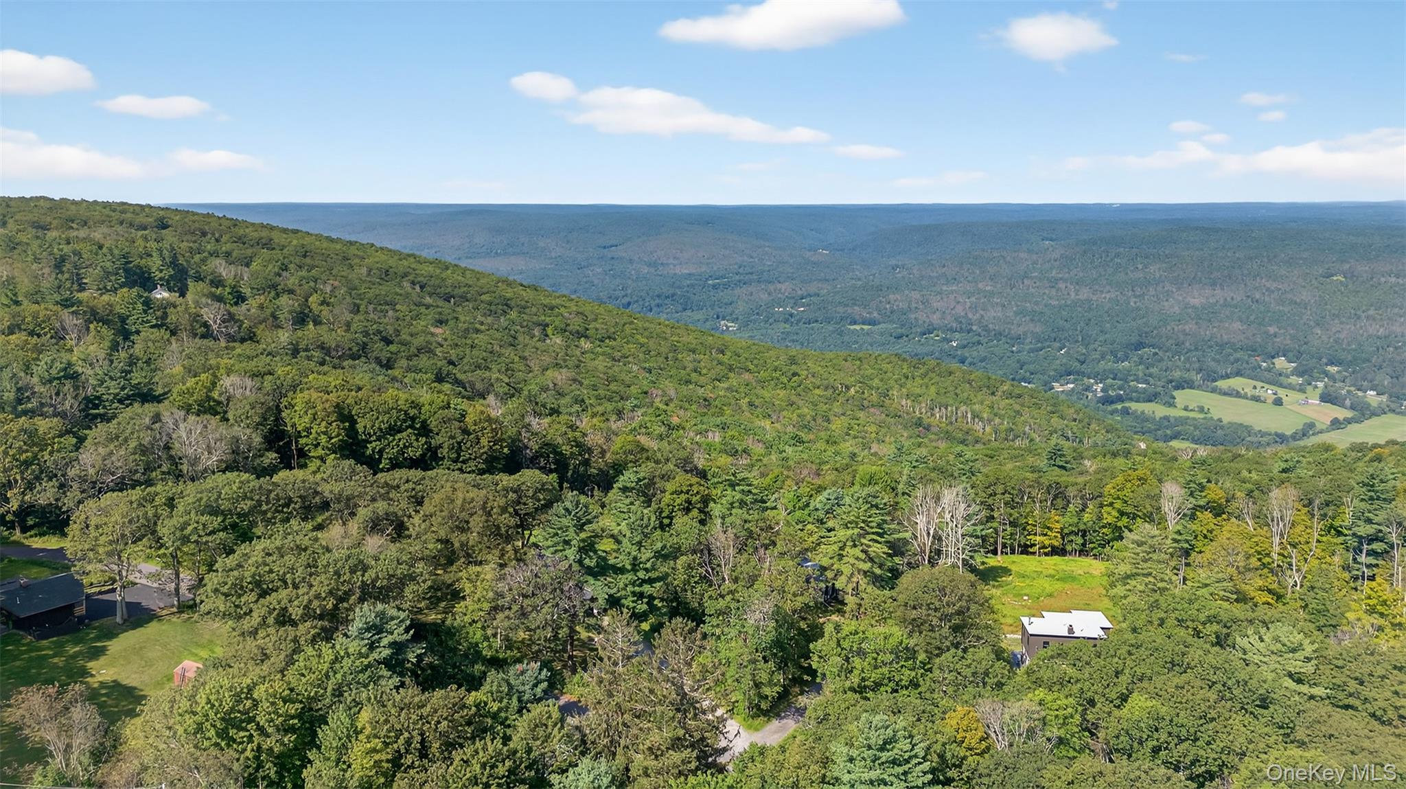 115 Schuyler Avenue, Cragsmoor, NY 12420