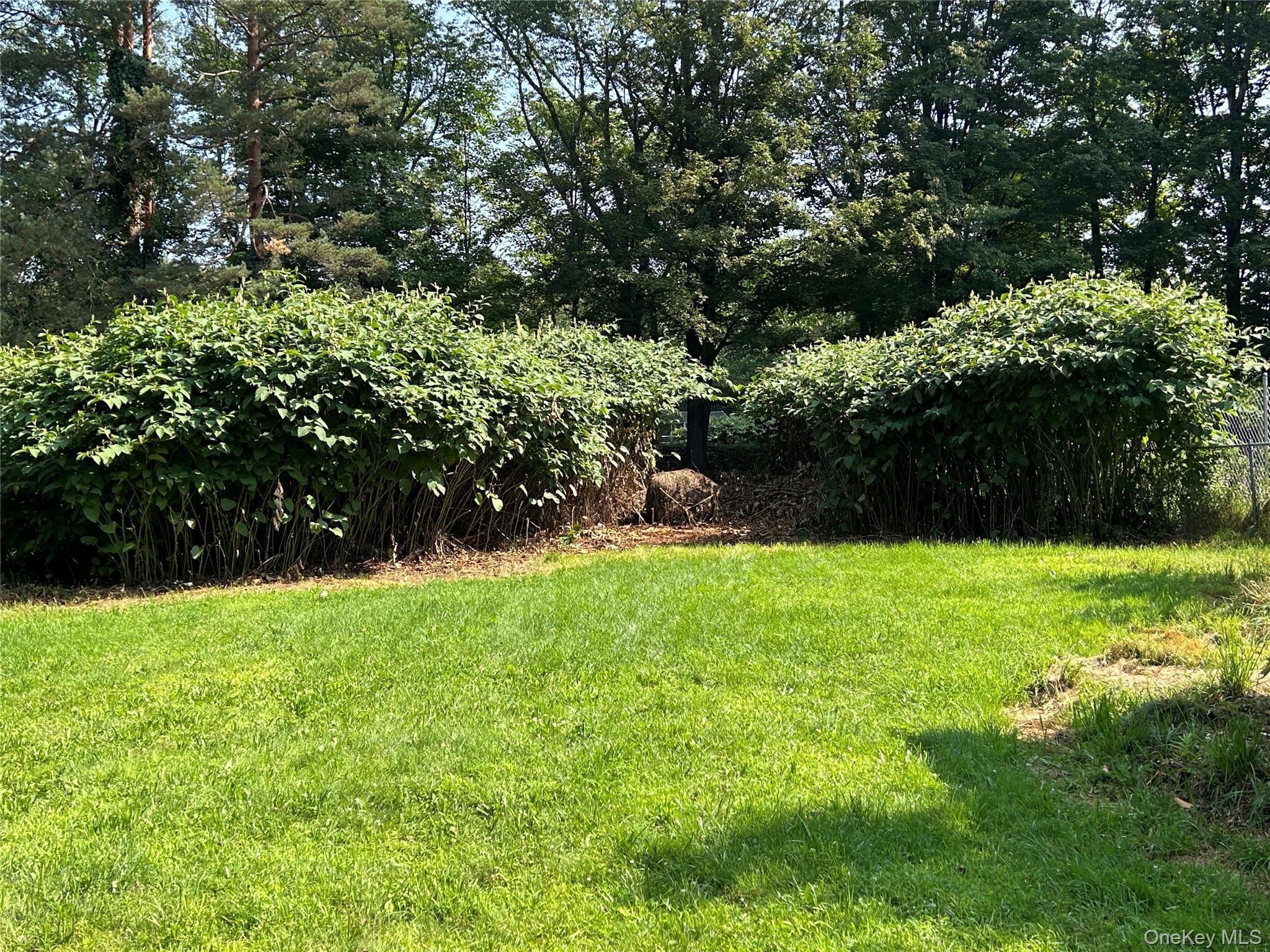 40 River Street, Livingston Manor, NY 12758