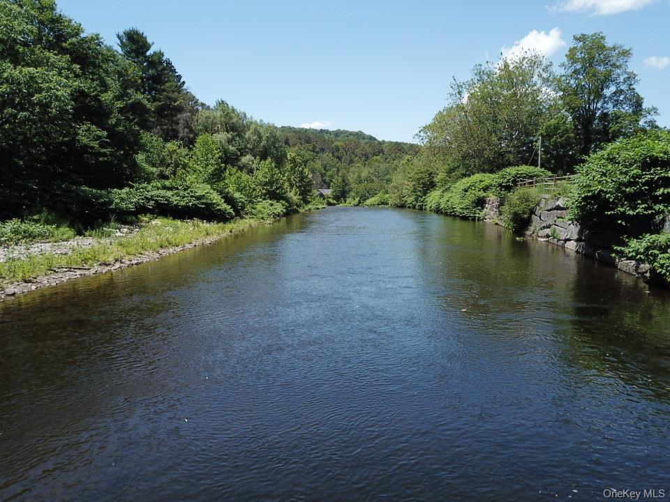 40 River Street, Livingston Manor, NY 12758