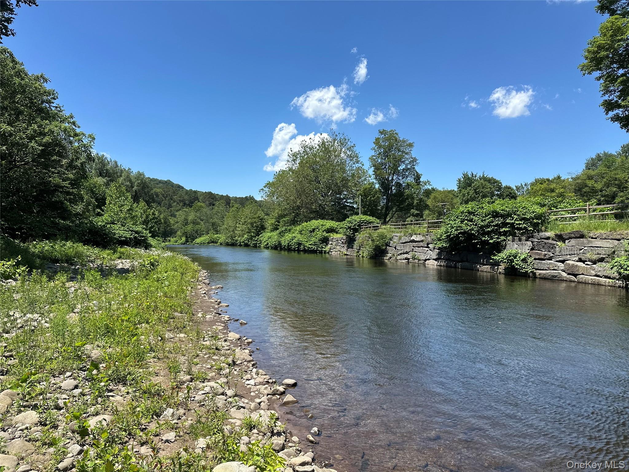 40 River Street, Livingston Manor, NY 12758