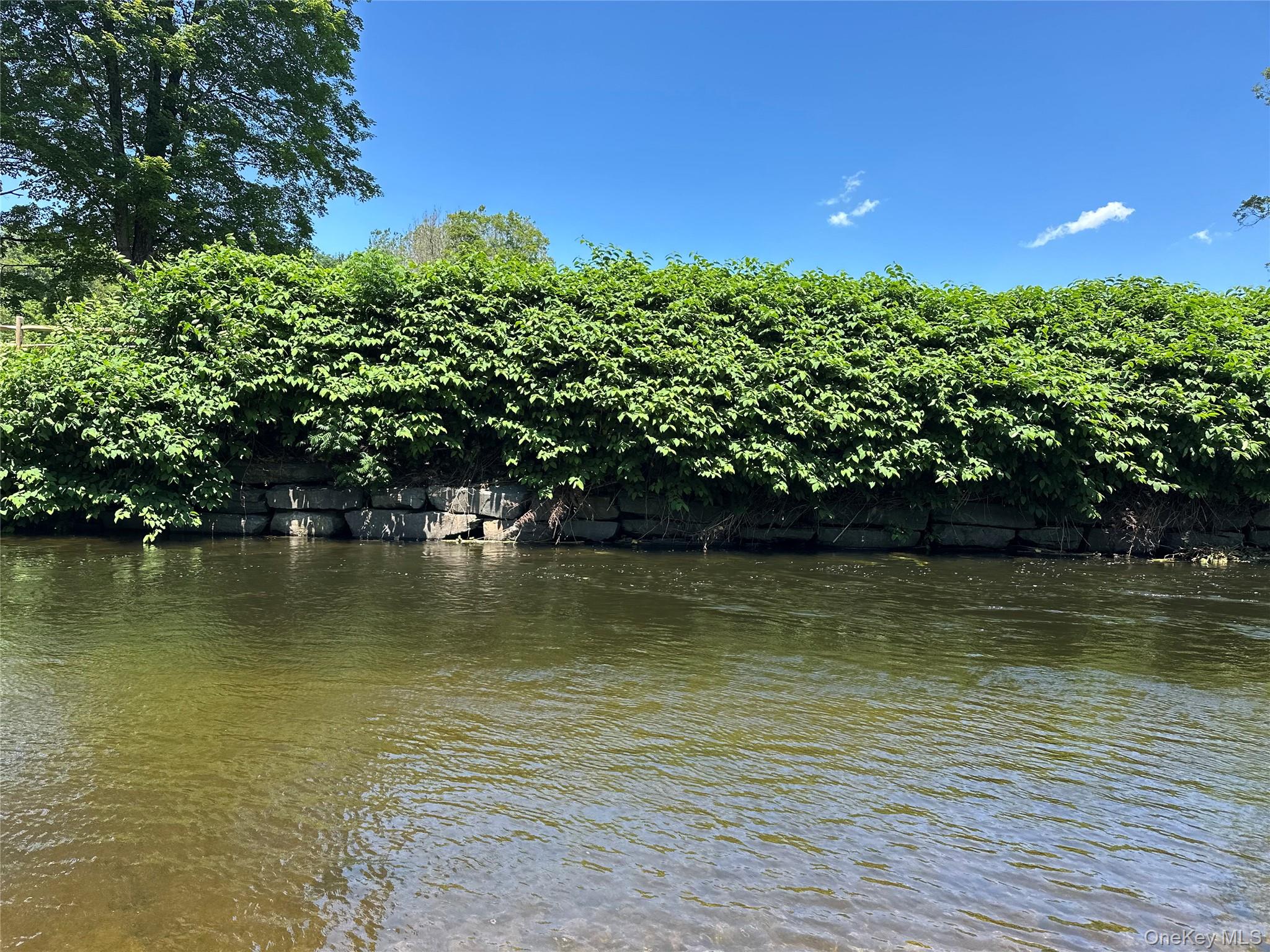 40 River Street, Livingston Manor, NY 12758