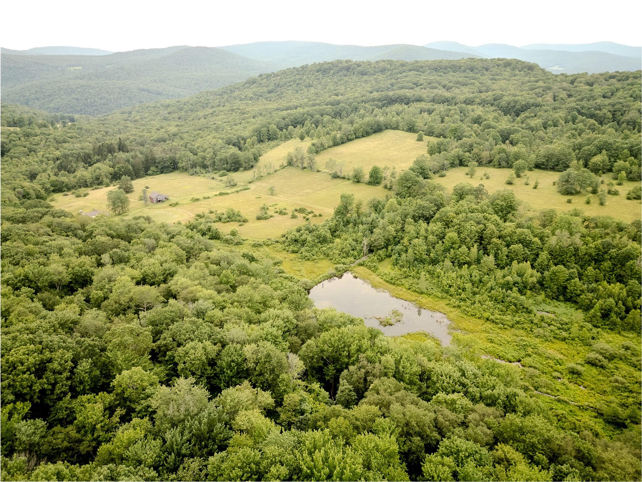 706 Elm Hollow Road, Livingston Manor, NY 12758