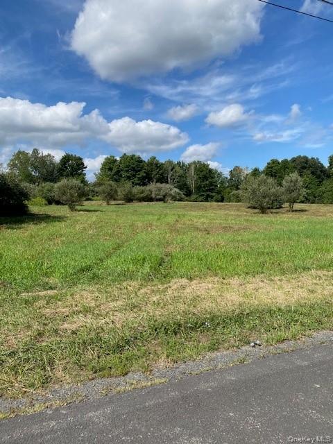 Lot #2 Delmar Hill Road, Slate Hill, NY 10973