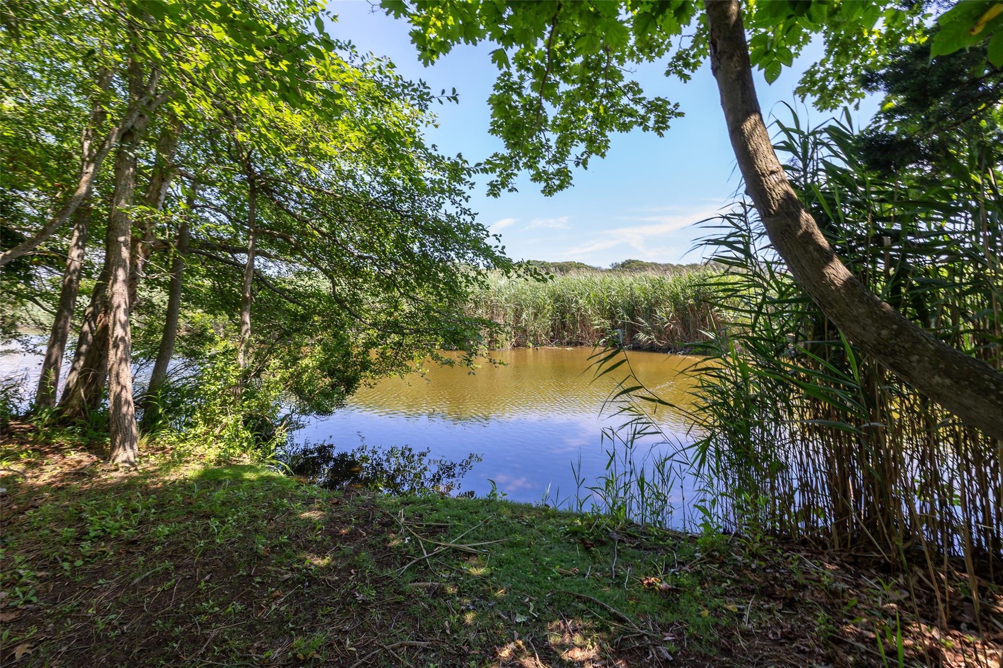 175 S Dunton Avenue, East Patchogue, NY 11772