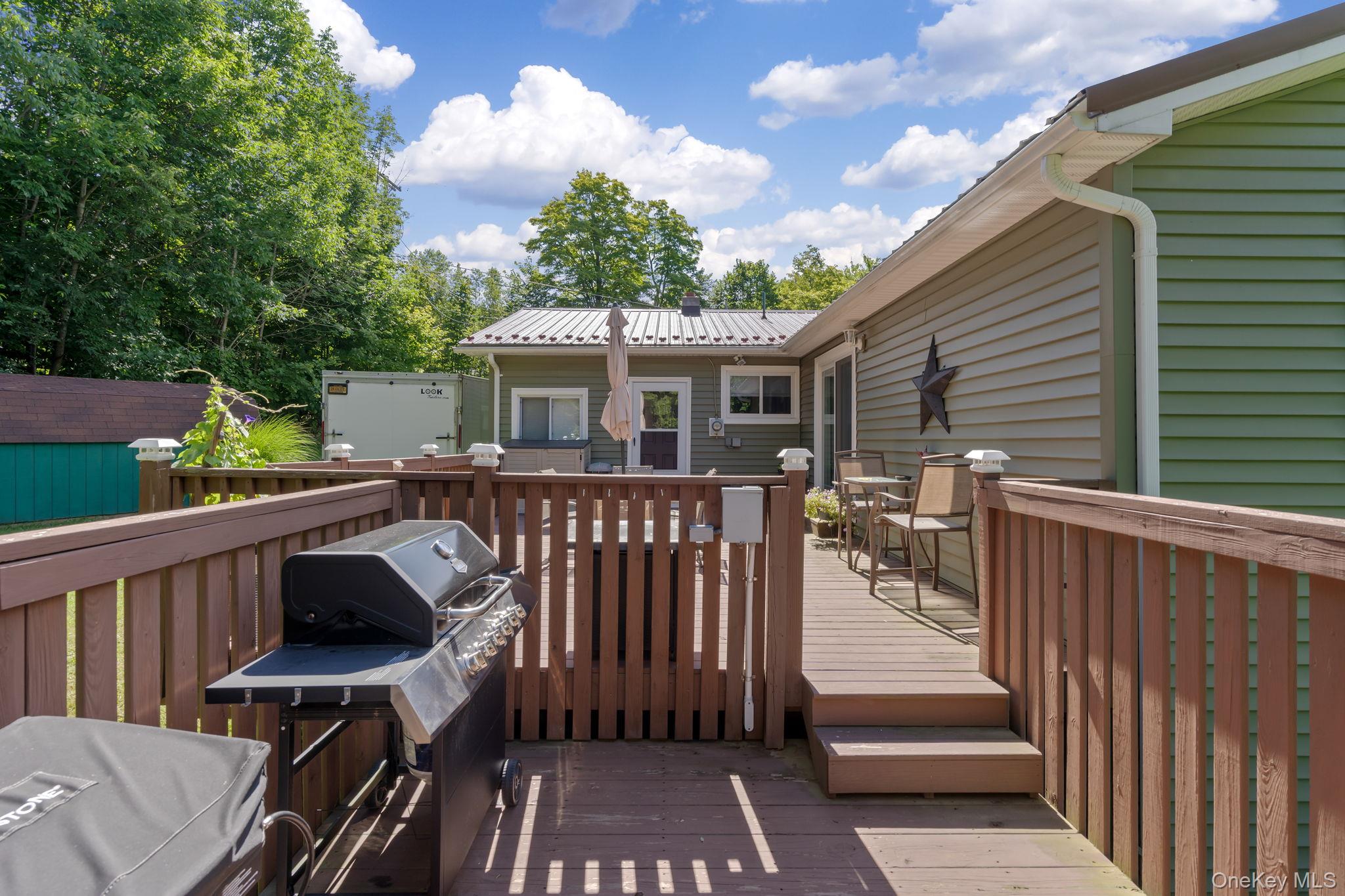 788 Fox Mountain Road, White Sulphur Spring, NY 12758