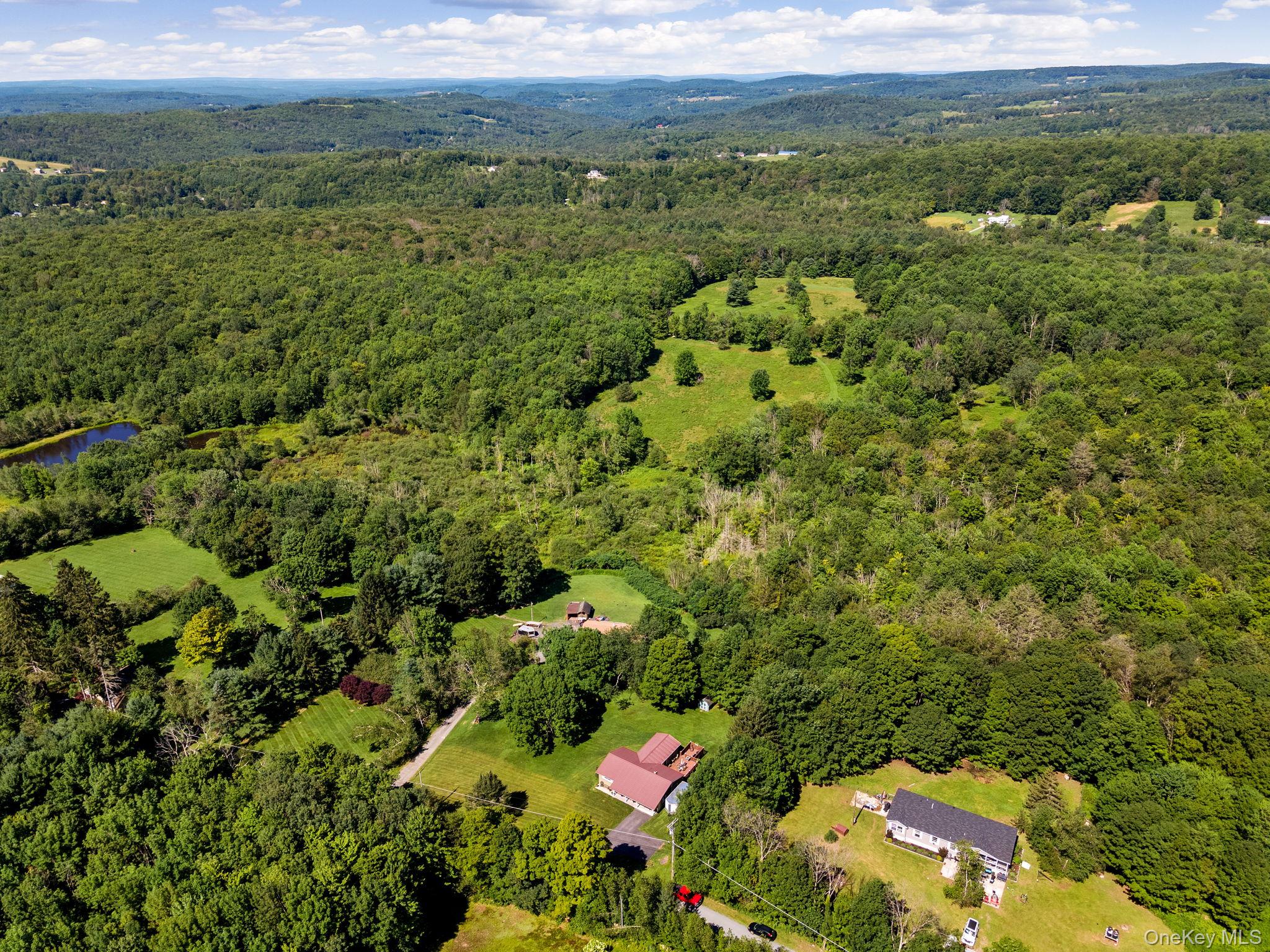 788 Fox Mountain Road, White Sulphur Spring, NY 12758