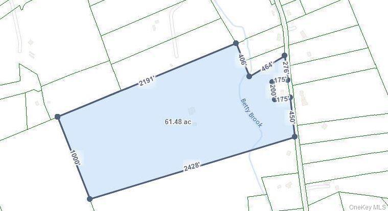 613 Betty Brook Road, Call Listing Agent, NY 13842