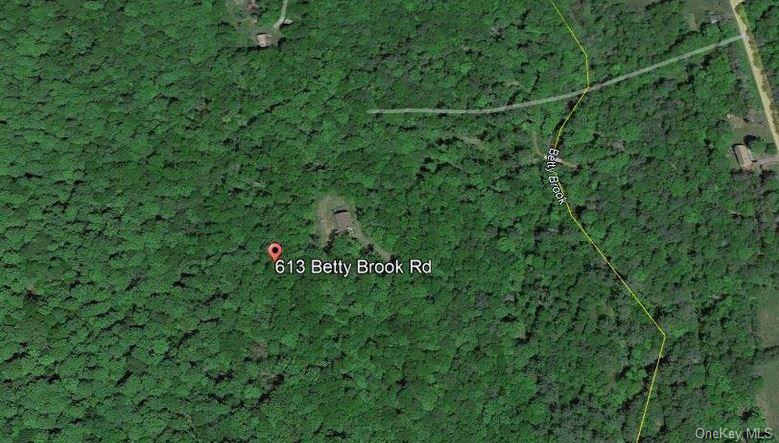 613 Betty Brook Road, Call Listing Agent, NY 13842