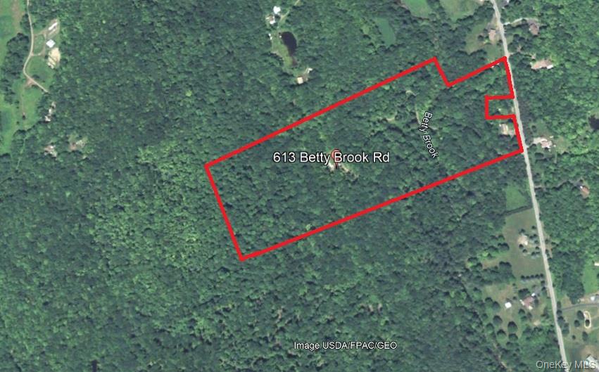 613 Betty Brook Road, Call Listing Agent, NY 13842