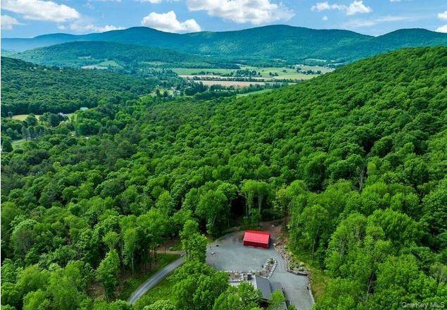 613 Betty Brook Road, Call Listing Agent, NY 13842