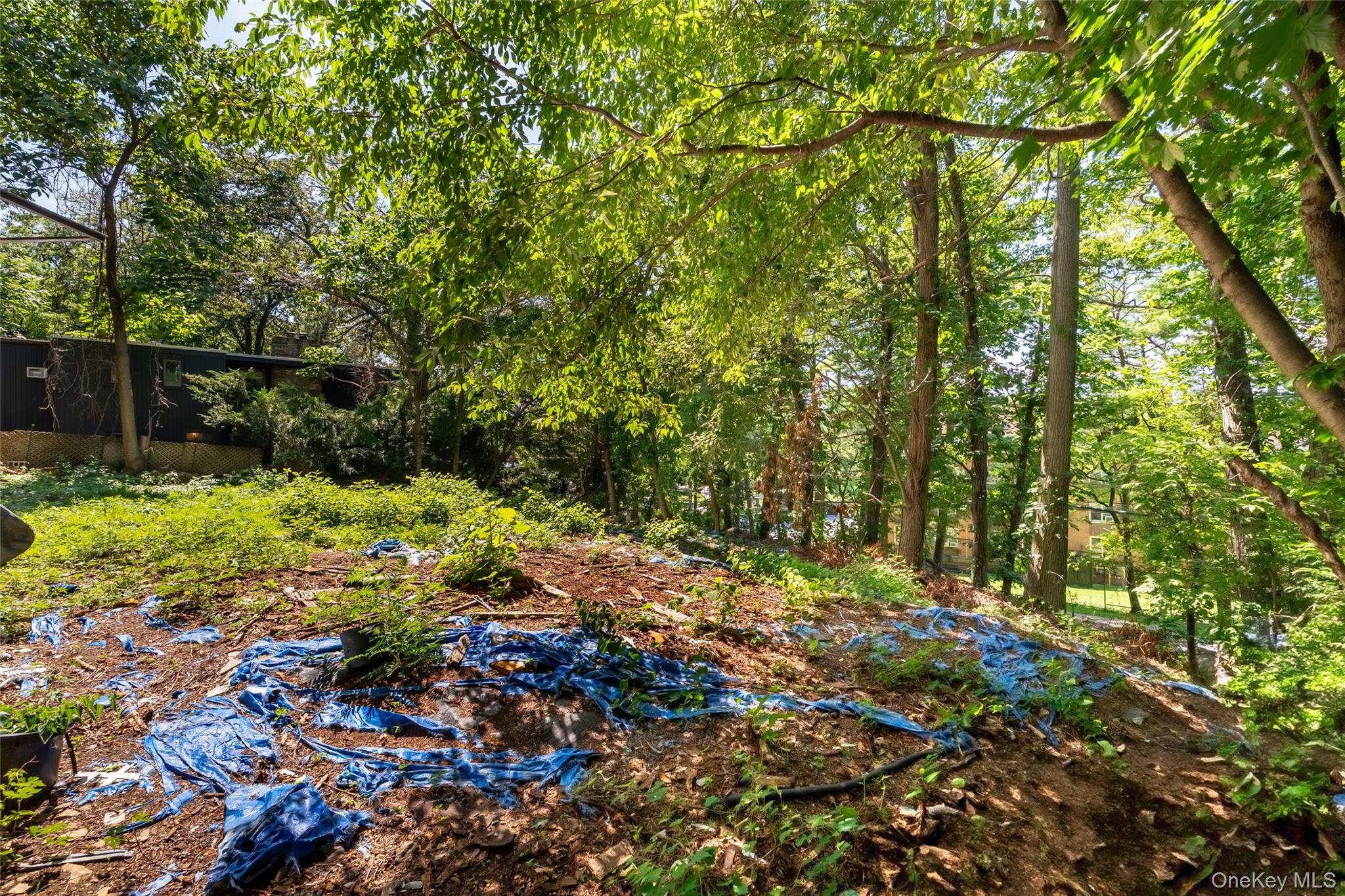 6000 Palisade Avenue, Bronx, NY 10471