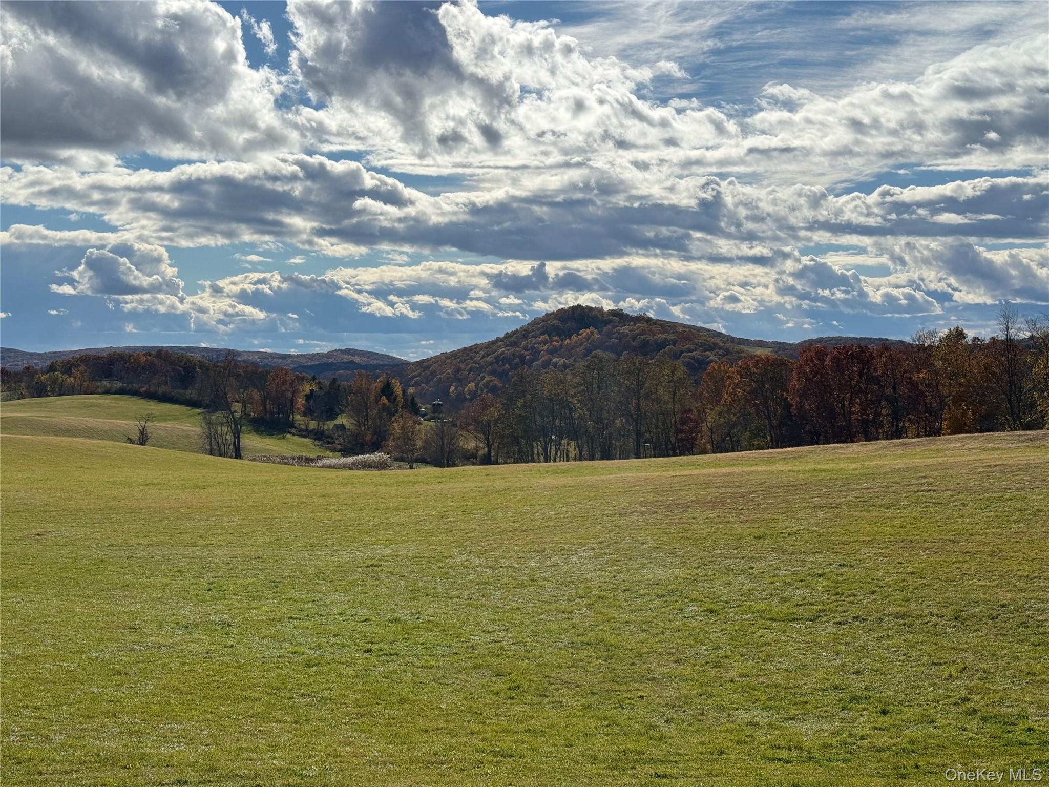 1131 E Ancram Road, ANCRAMDALE, NY 12503