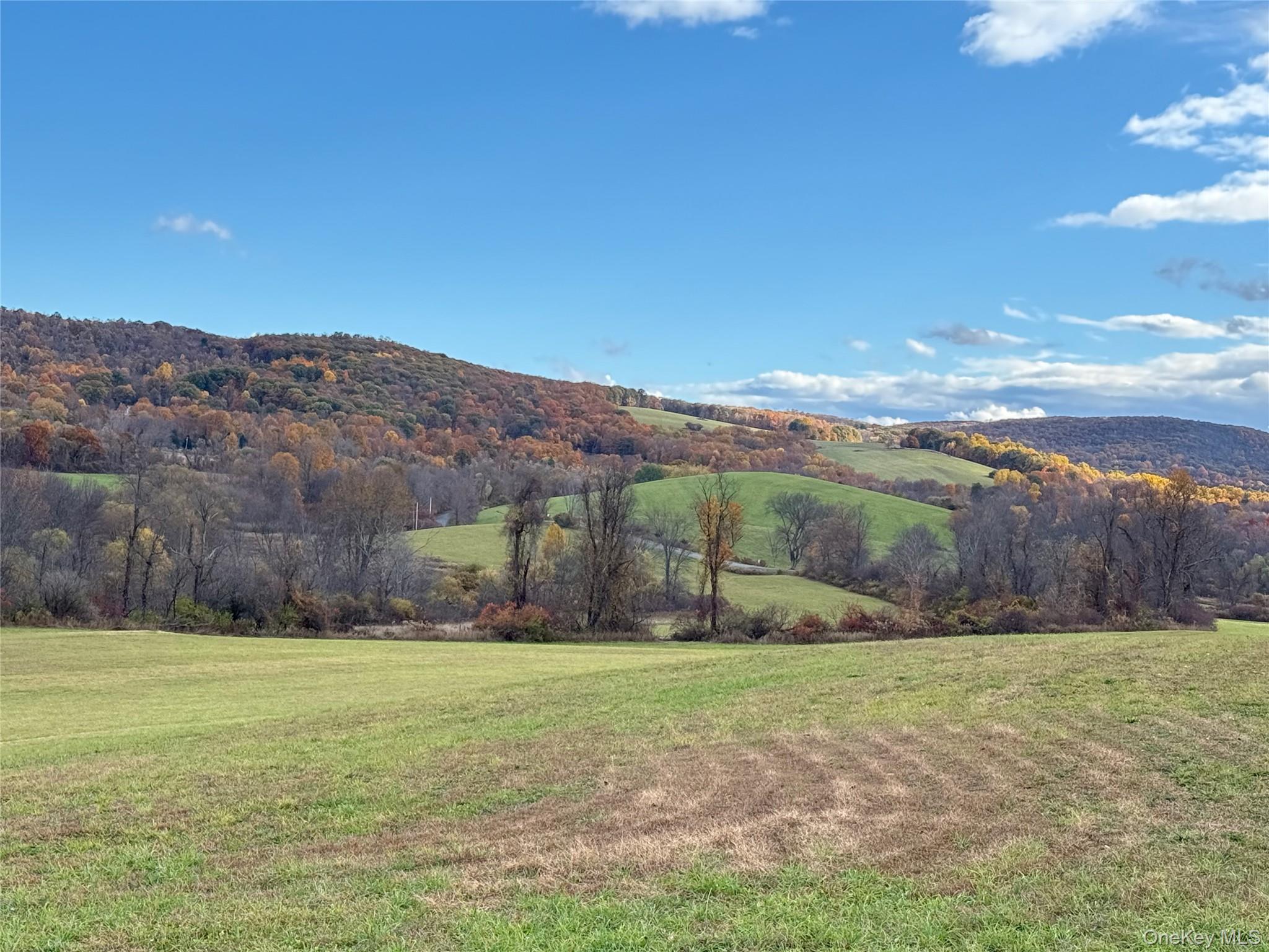 1131 E Ancram Road, ANCRAMDALE, NY 12503