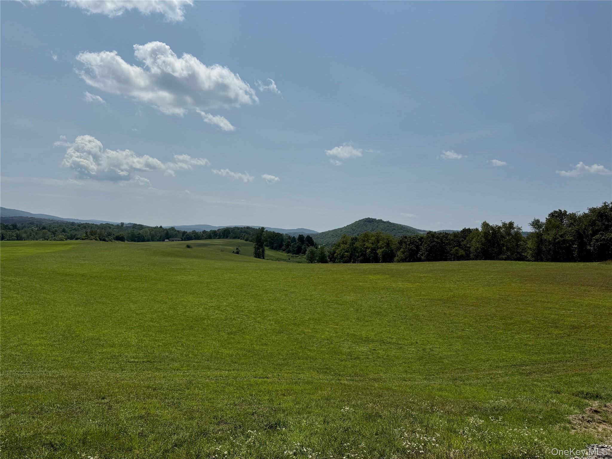 1131 E Ancram Road, ANCRAMDALE, NY 12503