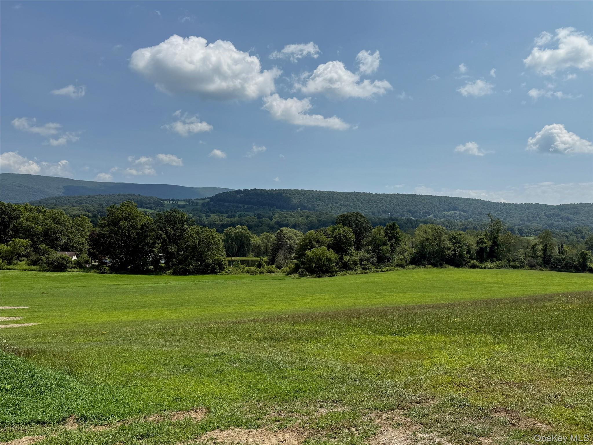 1131 E Ancram Road, ANCRAMDALE, NY 12503