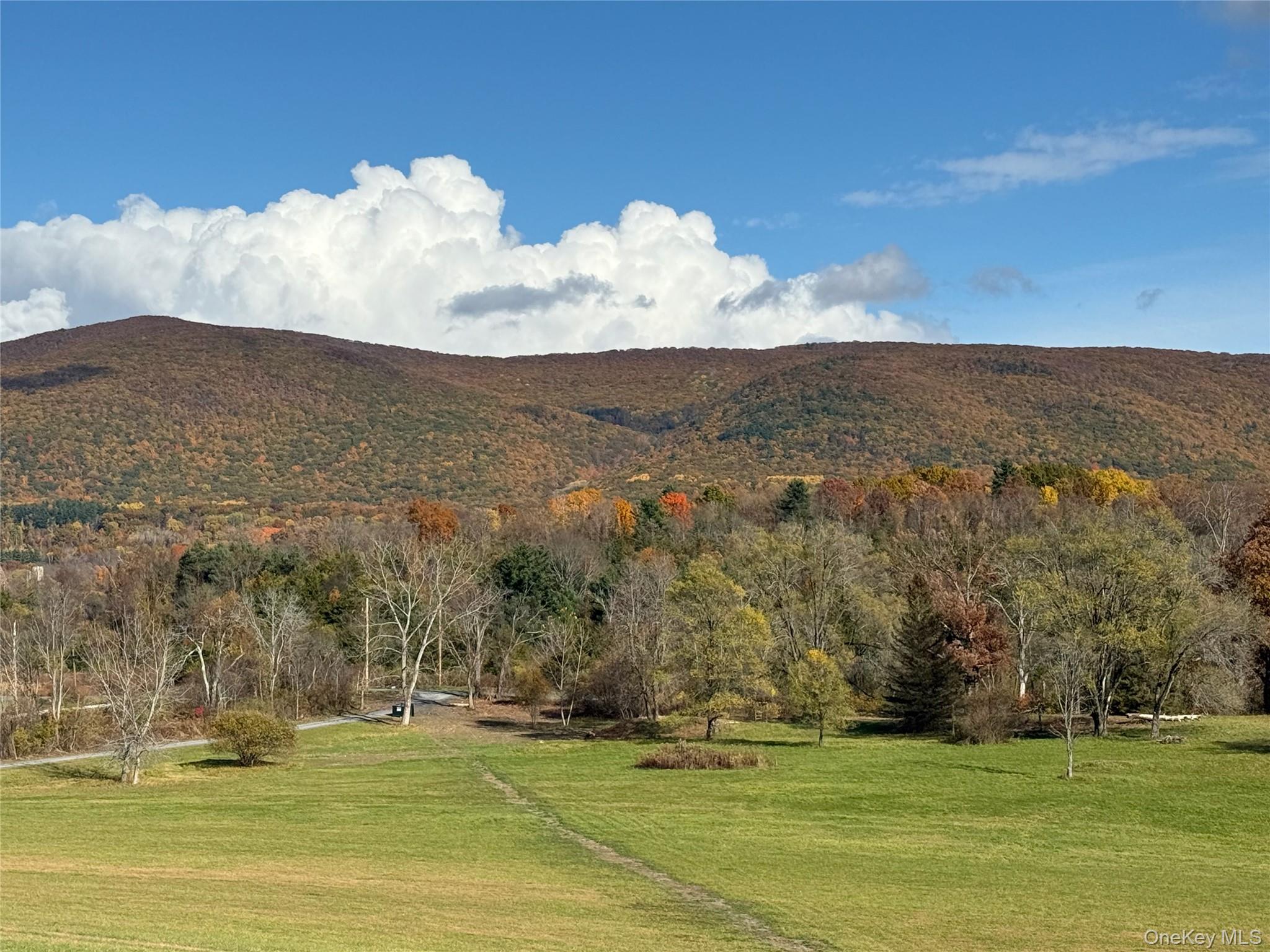 1131 E Ancram Road, ANCRAMDALE, NY 12503