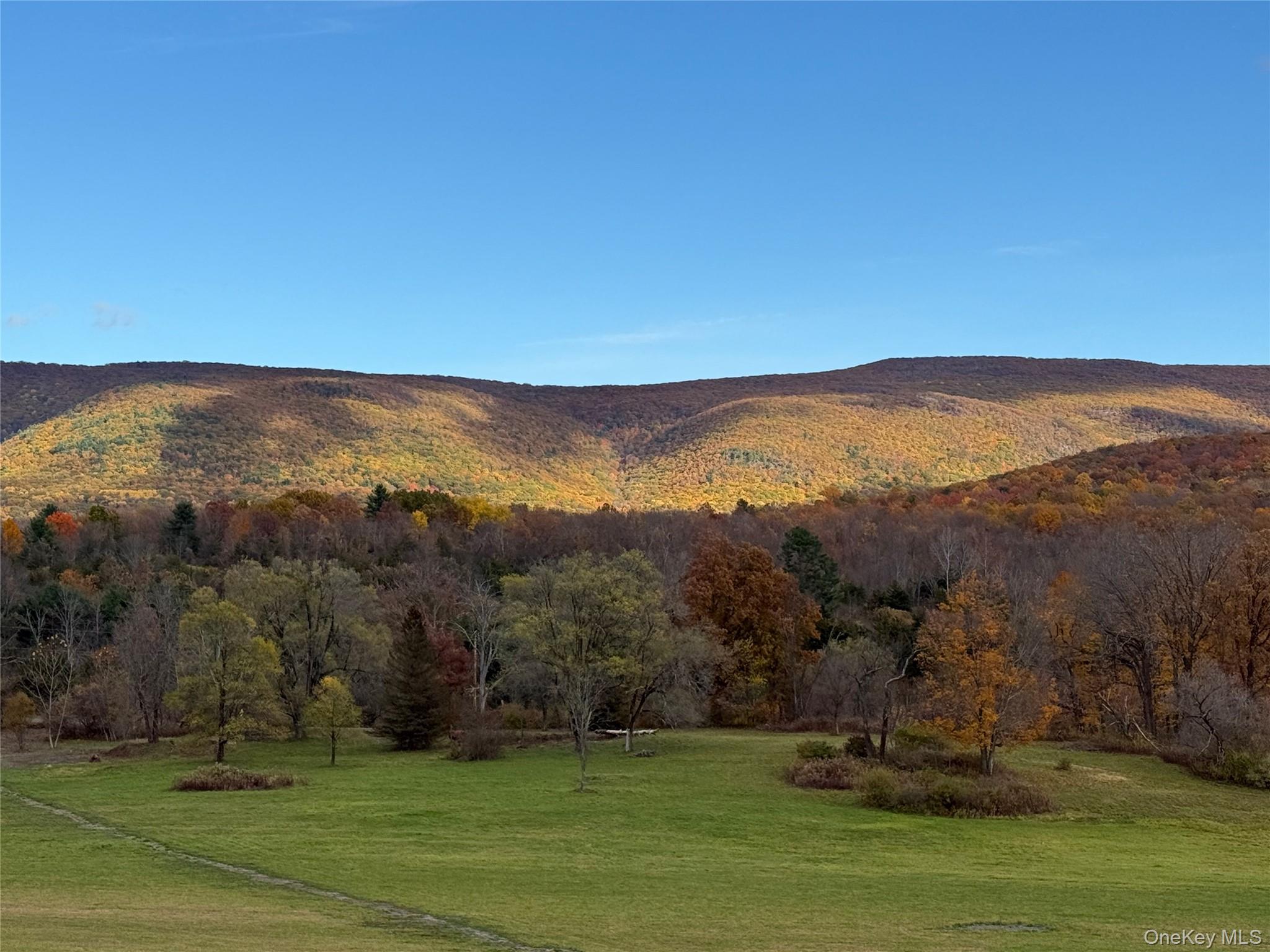 1131 E Ancram Road, ANCRAMDALE, NY 12503