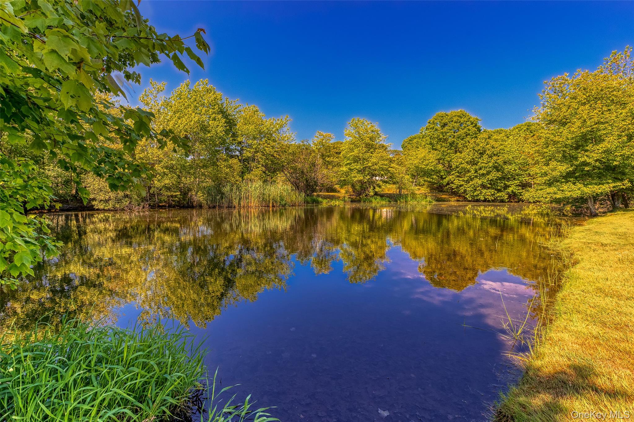 59 Watchogue Avenue # 3, East Moriches, NY 11940