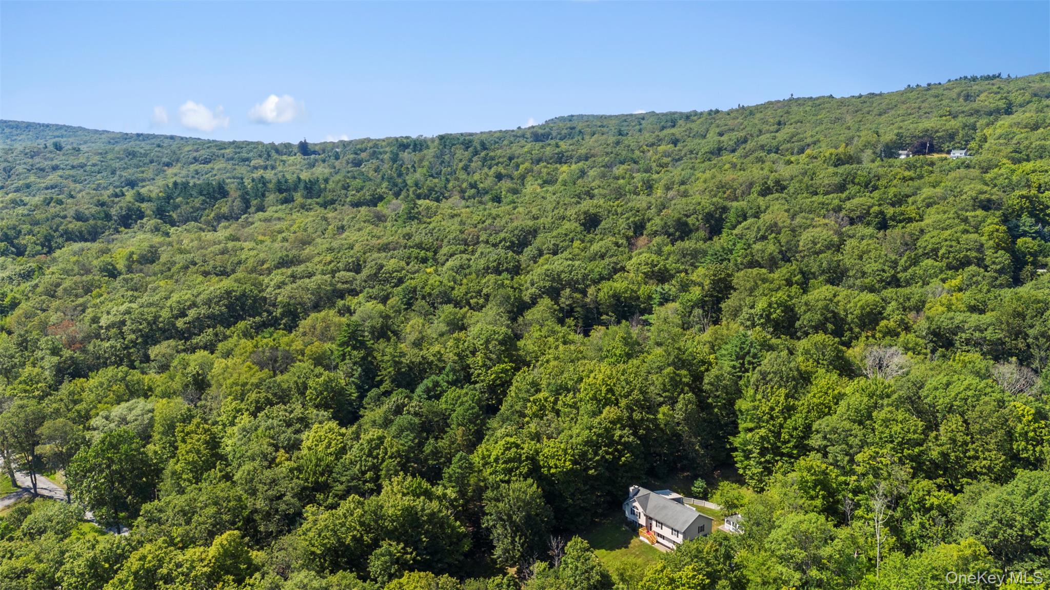 101 Hansburg Road, Pine Bush, NY 12566