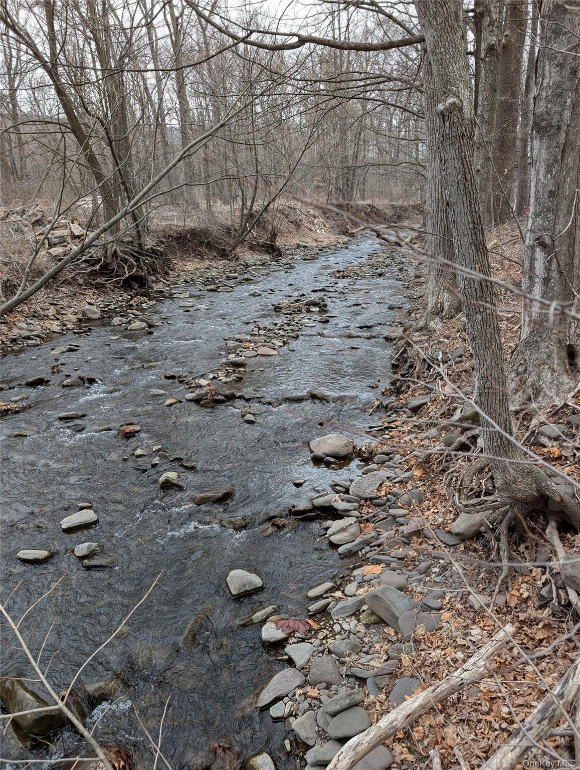 549 Hearts Content Road, Cairo, NY 12473