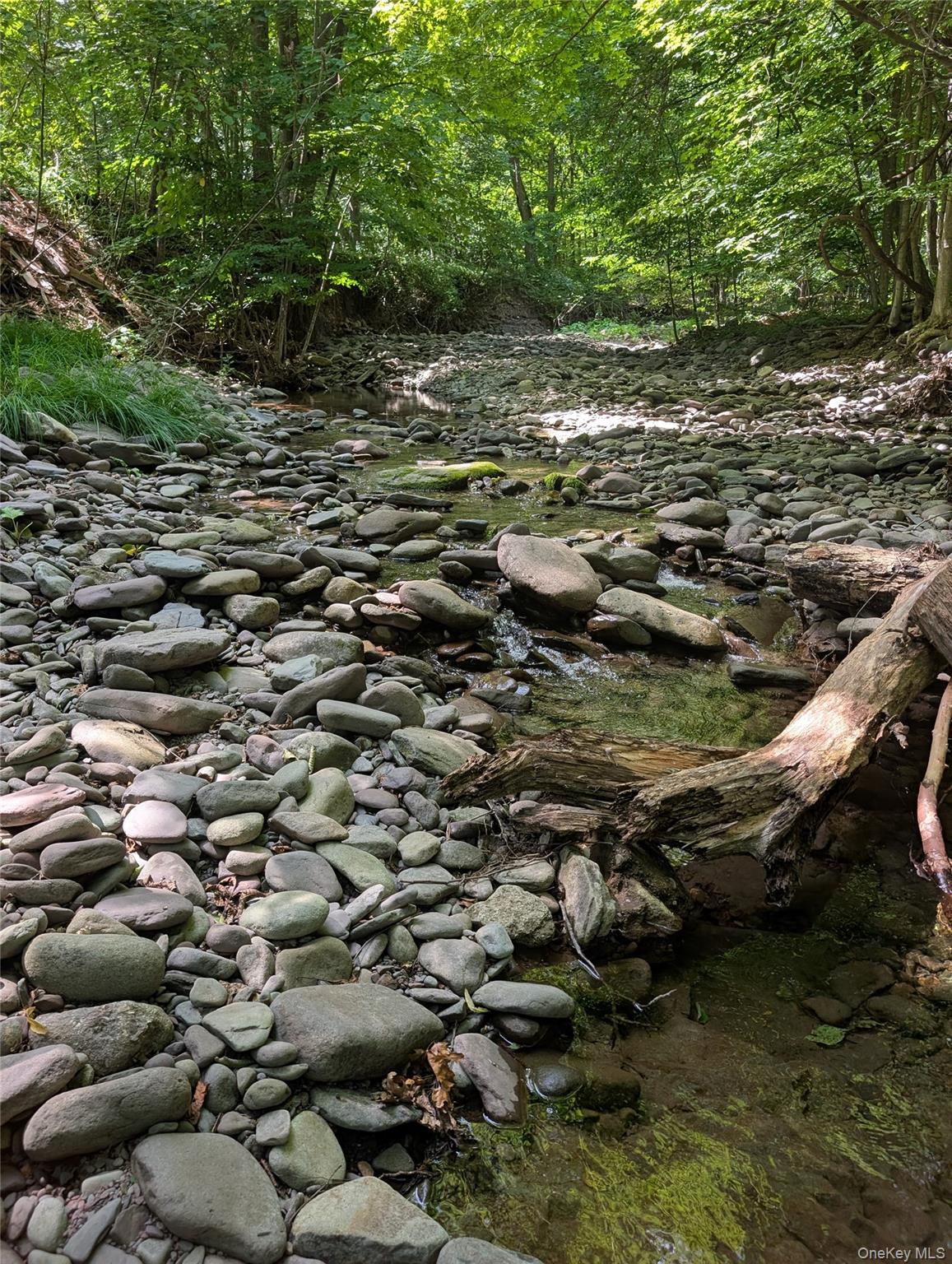 549 Hearts Content Road, Cairo, NY 12473