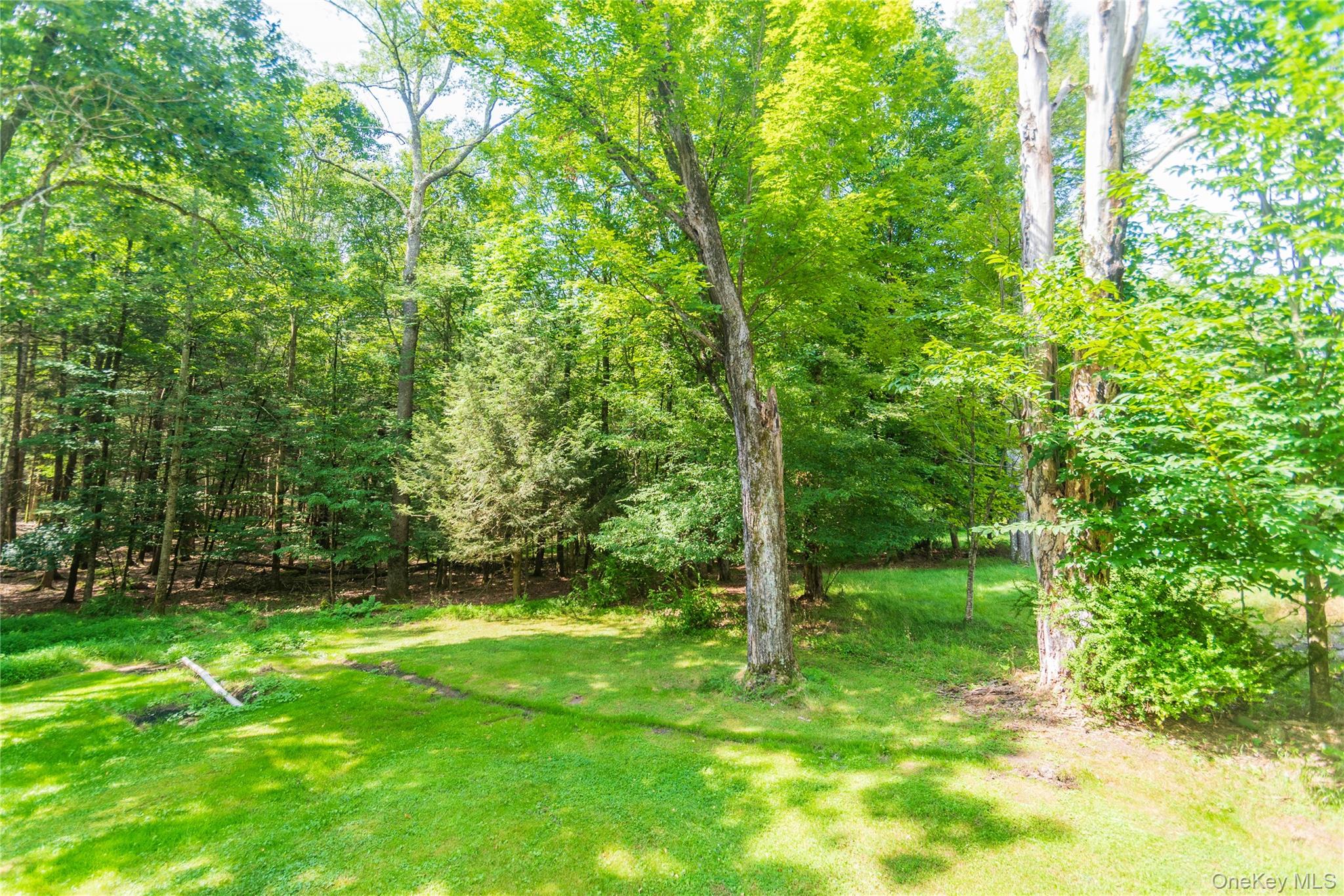 17 W Thompson Place # 103PL, Bethel, NY 12778