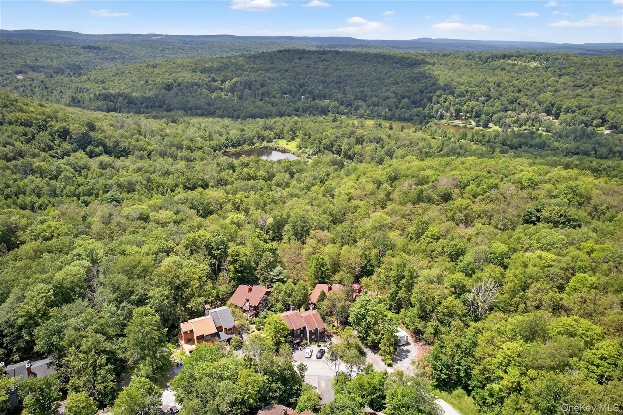 51 Meadowlark Lane, Woodridge, NY 12789