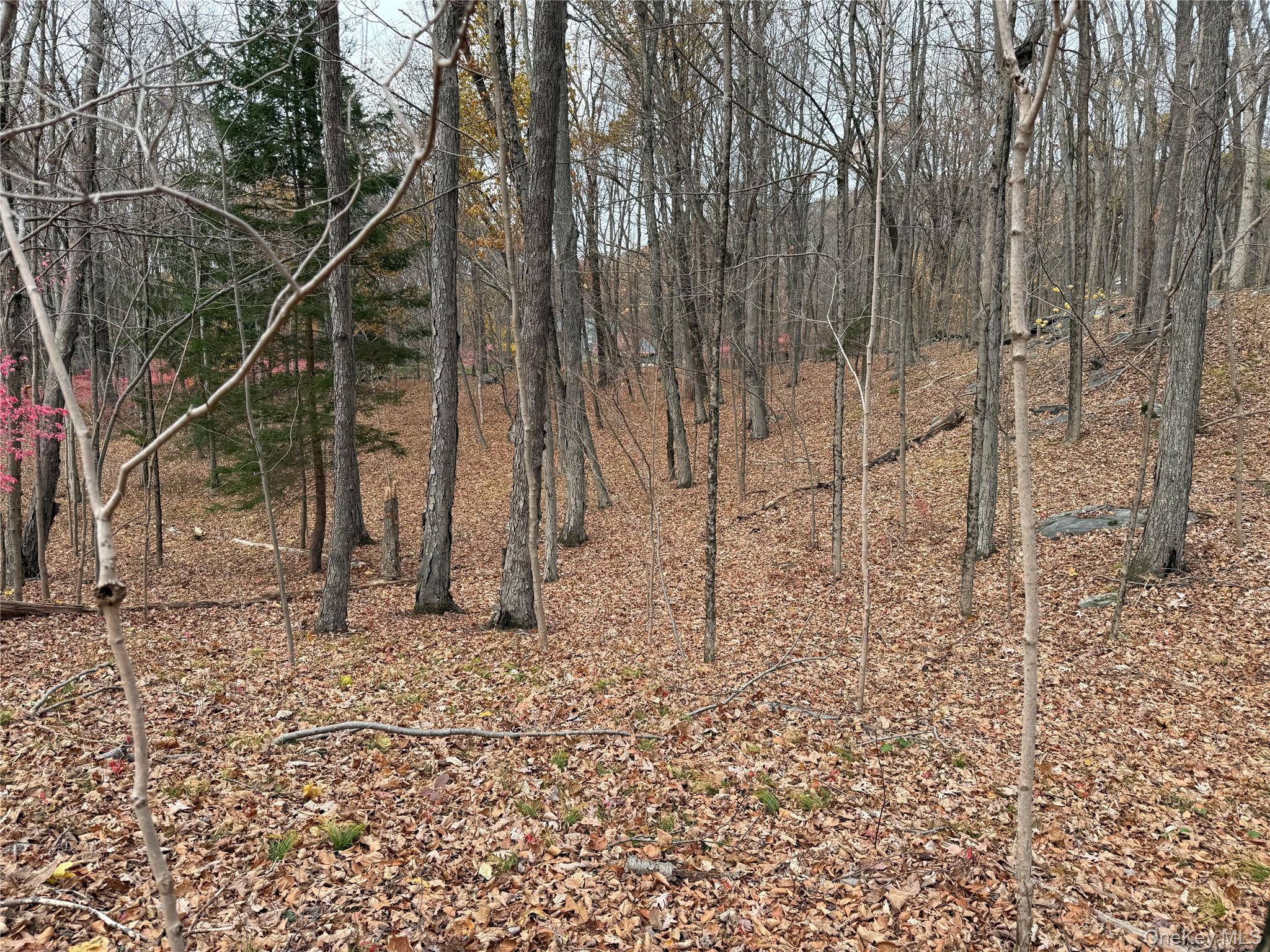 334 Bedford Banksville Road, Bedford, NY 10506