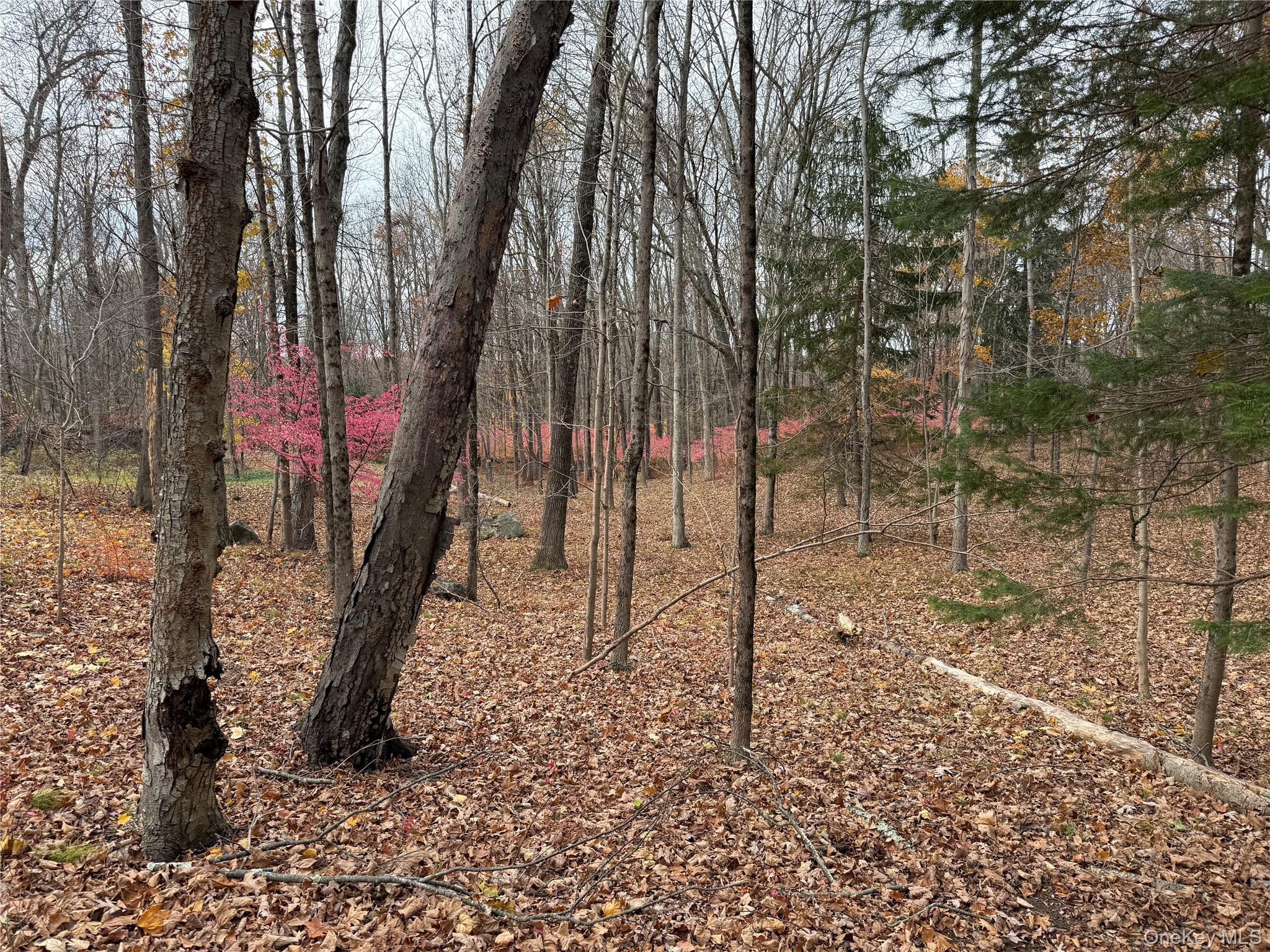 334 Bedford Banksville Road, Bedford, NY 10506