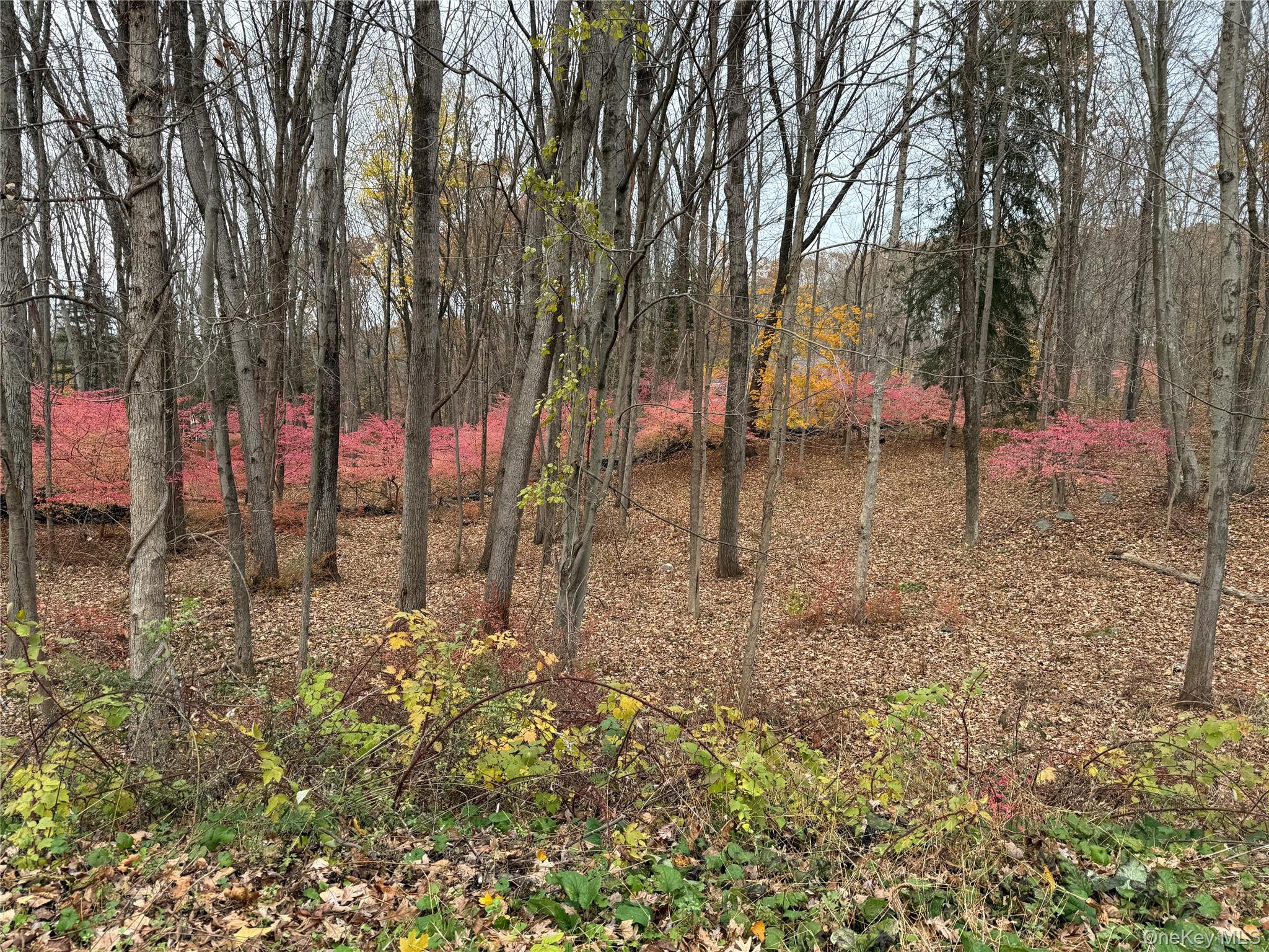 334 Bedford Banksville Road, Bedford, NY 10506