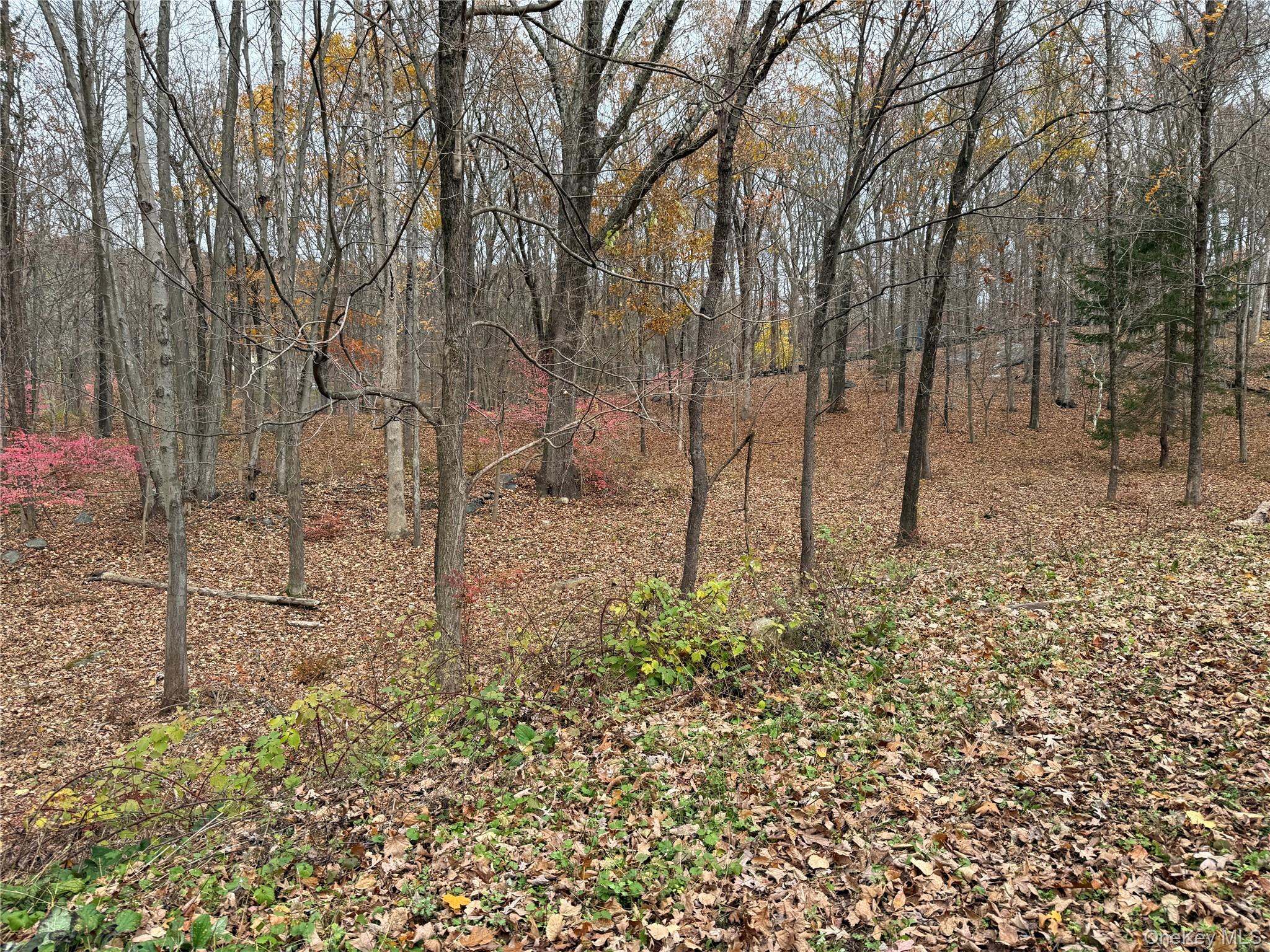 334 Bedford Banksville Road, Bedford, NY 10506