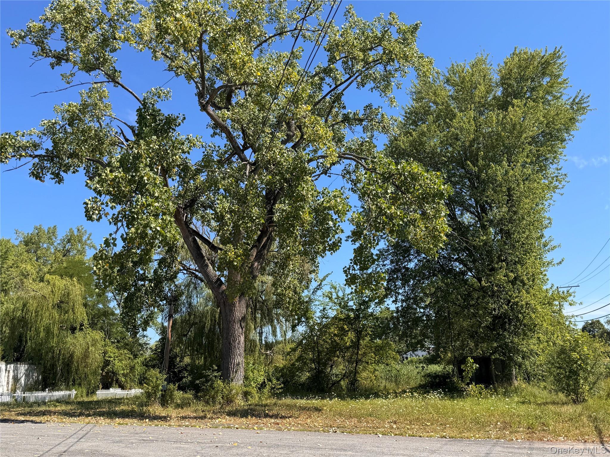 11559 State Route 9W, Coxsackie, NY 12051