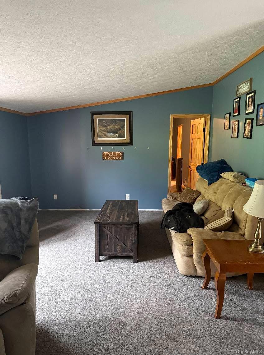 174 Fulton Hill Road, Callicoon, NY 12723