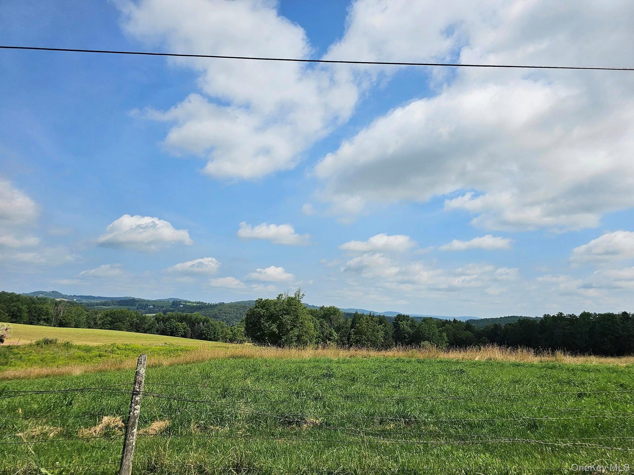 174 Fulton Hill Road, Callicoon, NY 12723