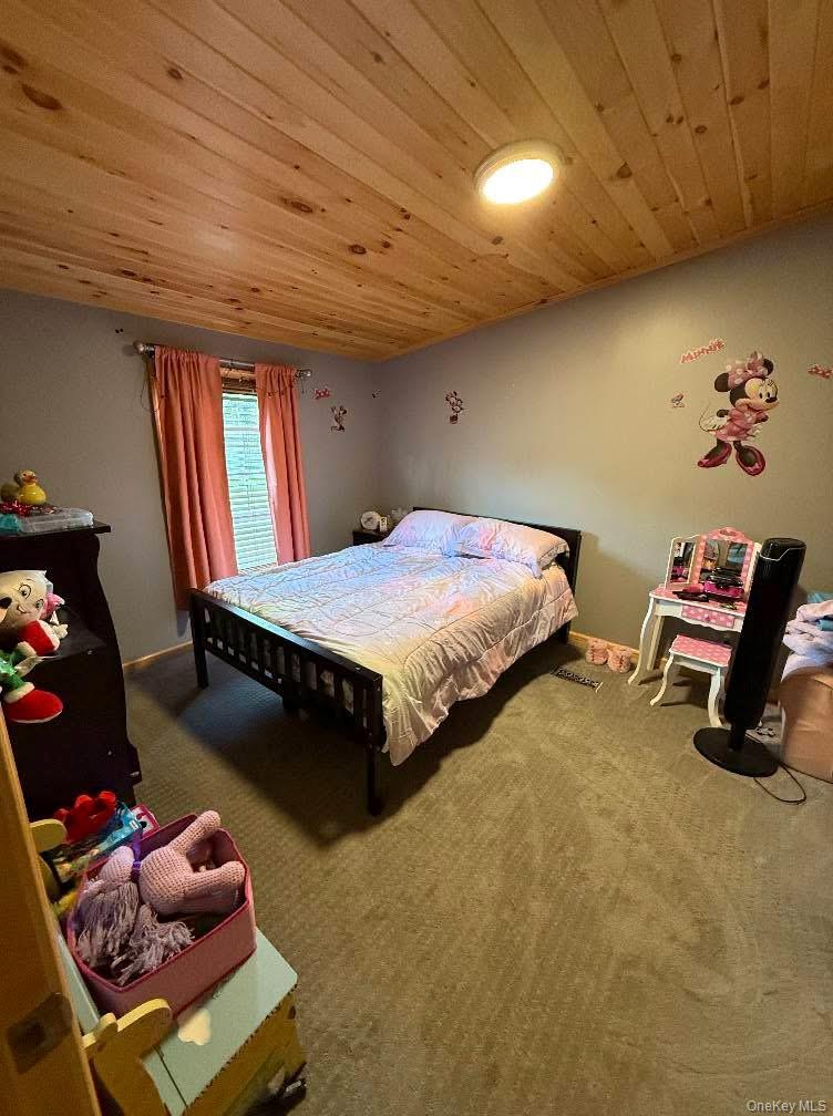 174 Fulton Hill Road, Callicoon, NY 12723