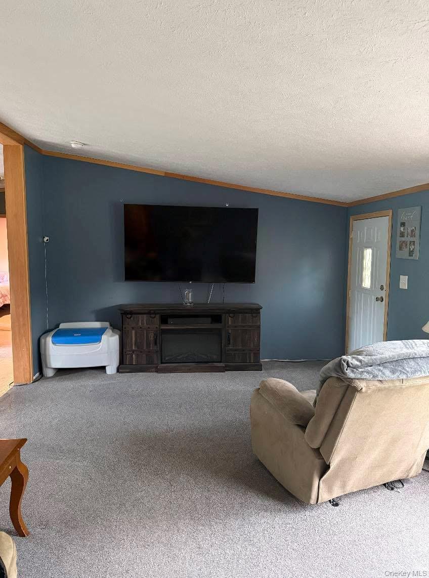 174 Fulton Hill Road, Callicoon, NY 12723