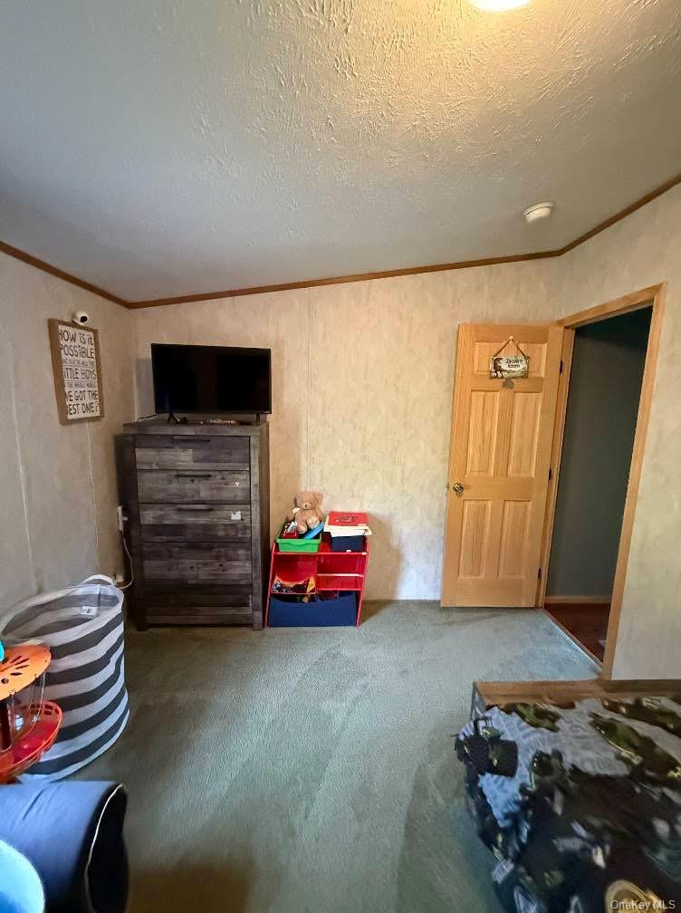 174 Fulton Hill Road, Callicoon, NY 12723