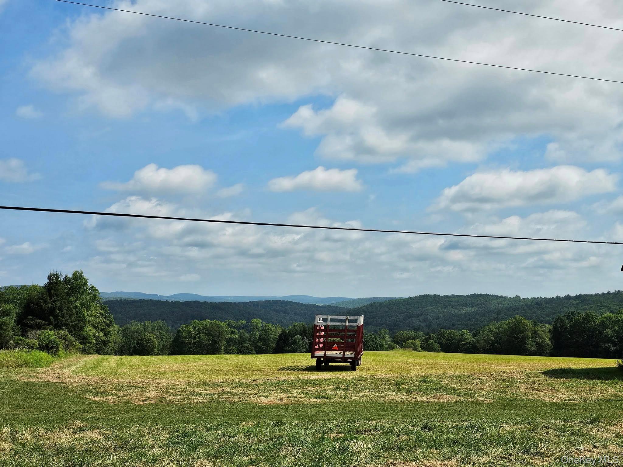 174 Fulton Hill Road, Callicoon, NY 12723