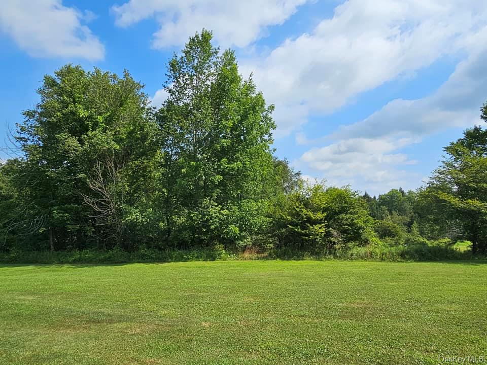 174 Fulton Hill Road, Callicoon, NY 12723