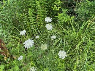 TBD Frost Valley, Claryville, NY