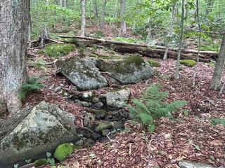 TBD Frost Valley, Claryville, NY