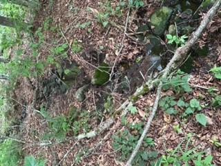 TBD Frost Valley, Claryville, NY