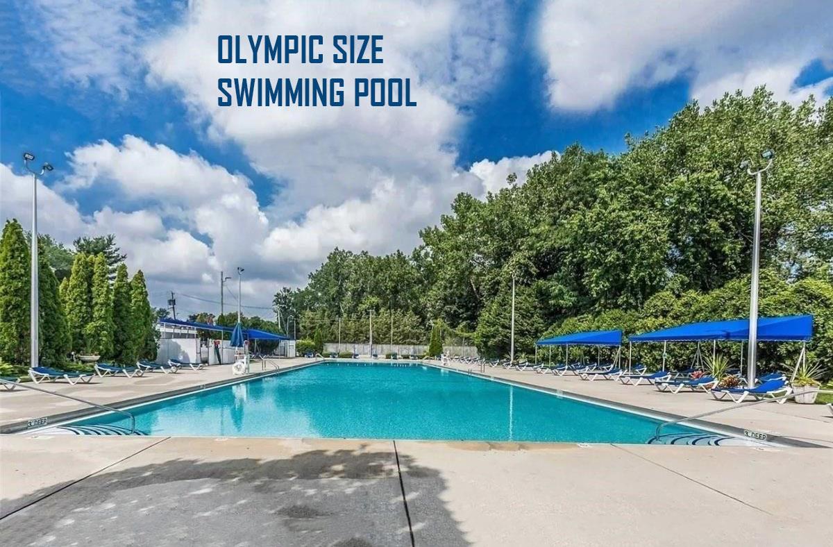 4 W west mill drive, Great Neck, NY 11021