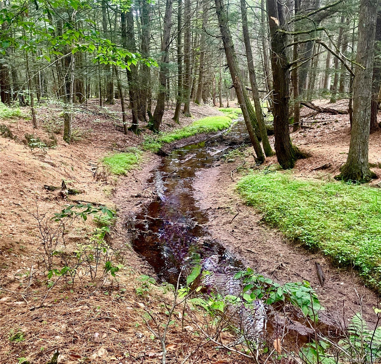 111 Deer Meadow Road, Bethel, NY 12720