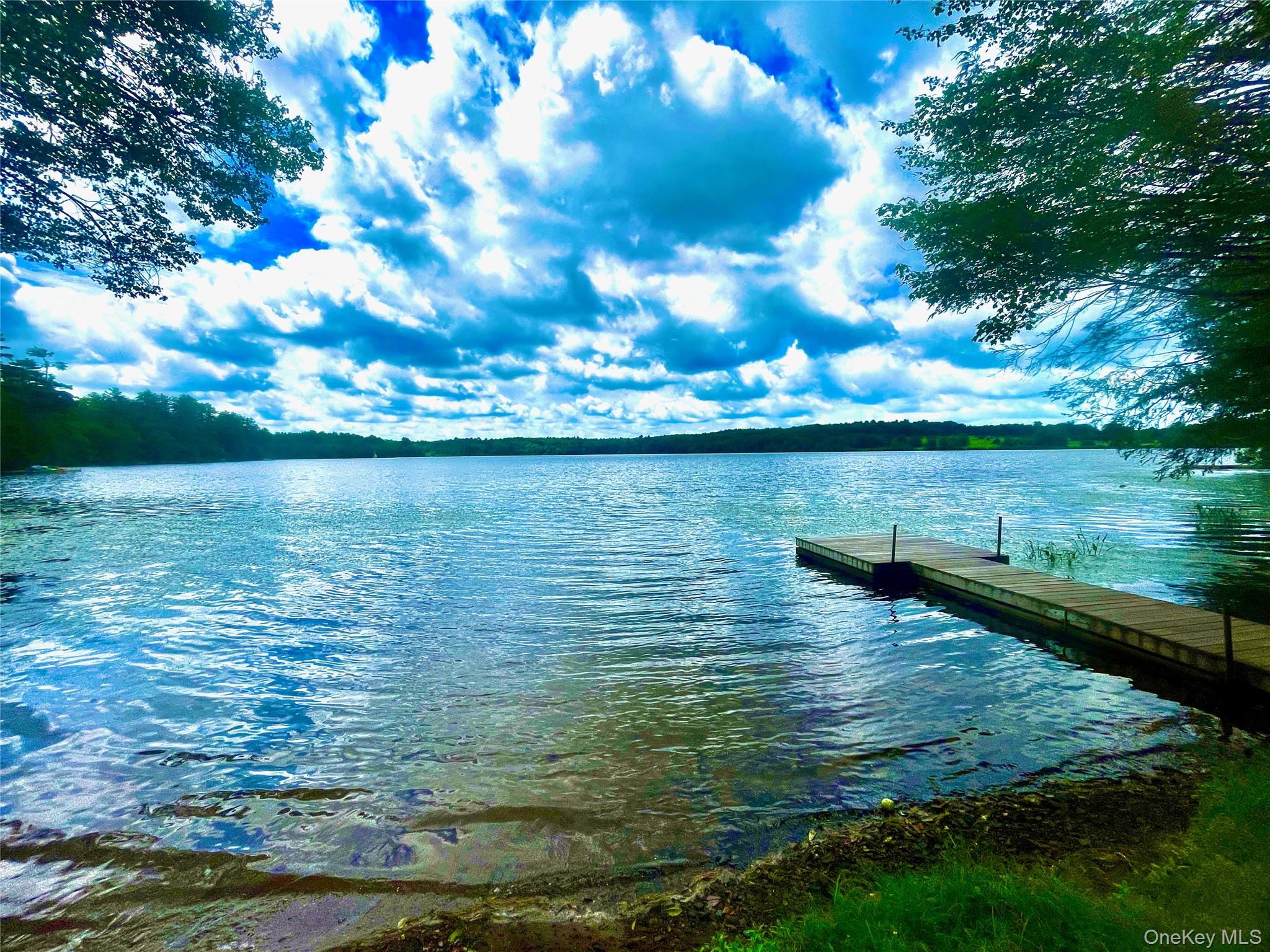 111 Deer Meadow Road, Bethel, NY 12720